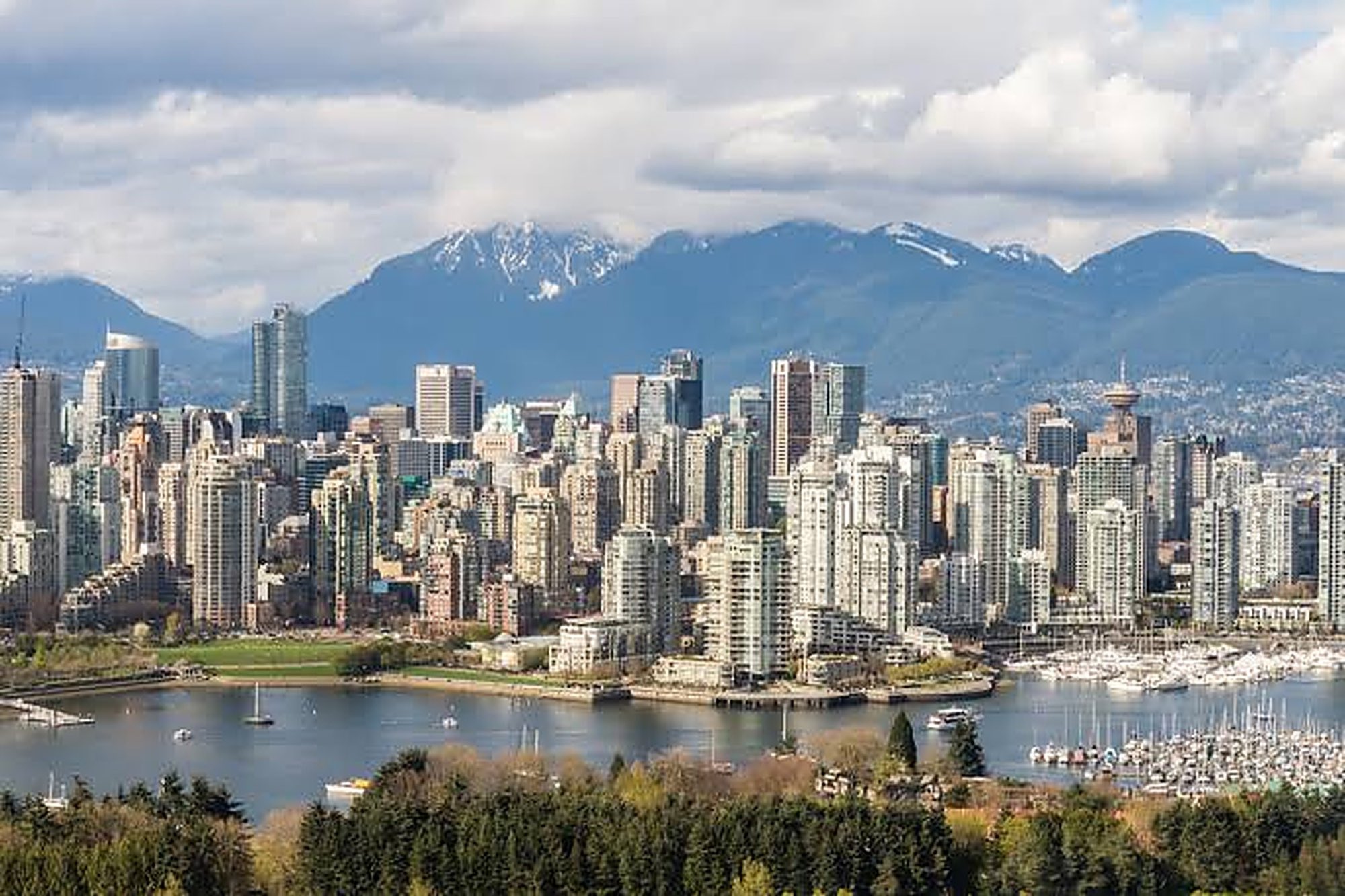 The downtown Vancouver skyline, tower after tower of apartment buildings, against the North Shore mountains.